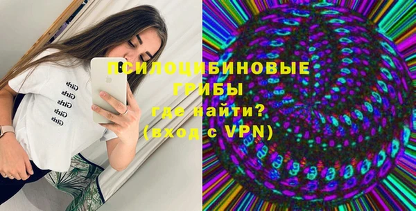 тгк Вяземский