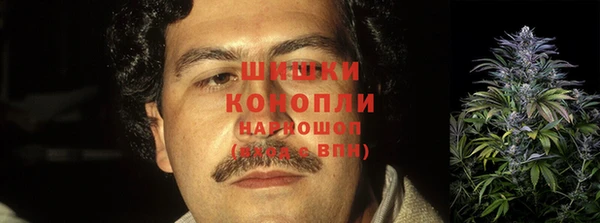 тгк Вяземский