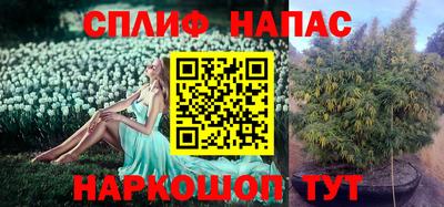 ECSTASY Беслан