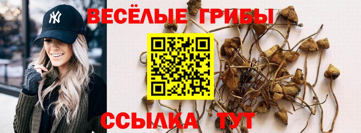 Галлюциногенные грибы MAGIC MUSHROOMS  Галлюциногенные грибы MAGIC MUSHROOMS  Вход с VPN  Волжск 