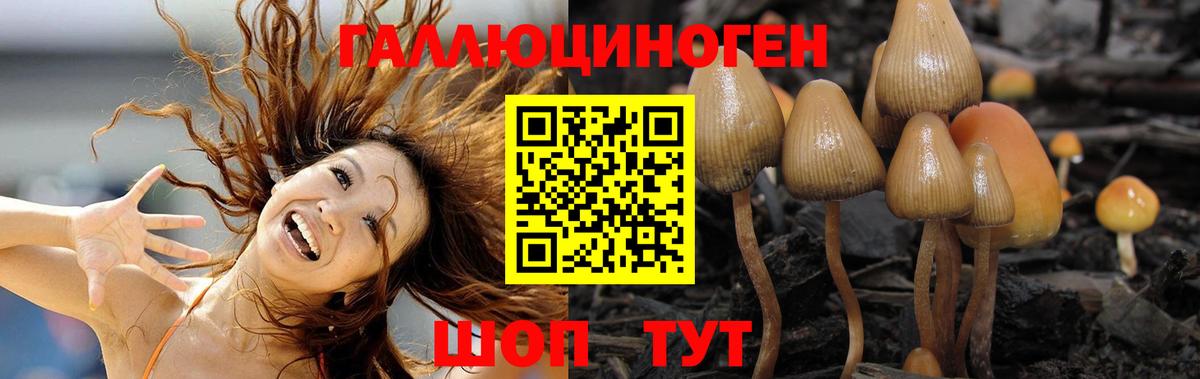 Псилоцибиновые грибы прущие грибы  купить наркотики цена  Псилоцибиновые грибы ЛСД  Волжск 