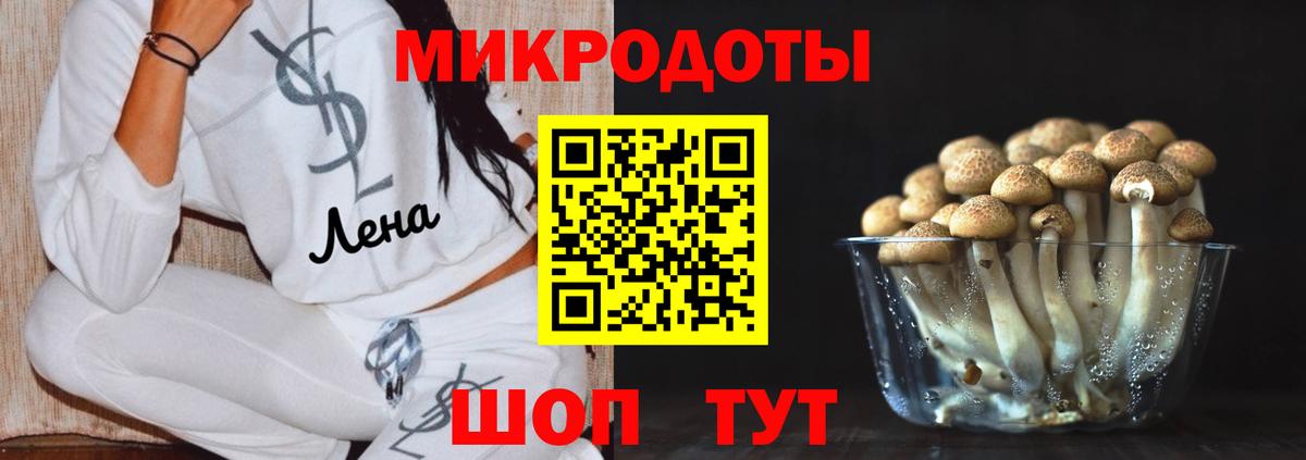 Псилоцибиновые грибы Psilocybe Волжск